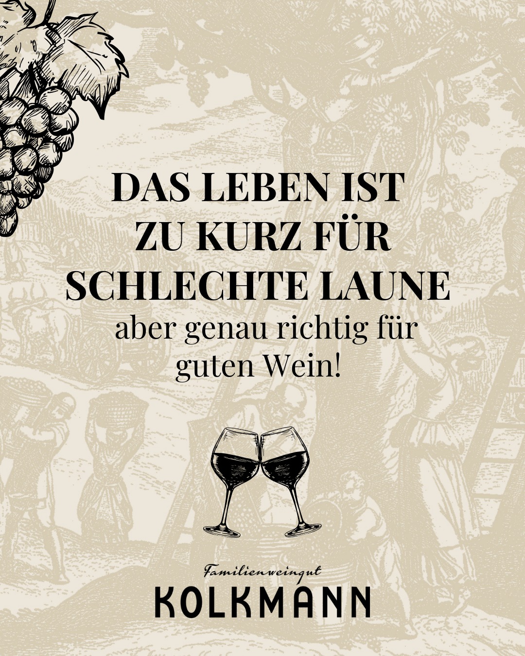 Entdecke unser Weinsortiment und finde deinen neuen Lieblingswein. 🍇
https://kolkmann.at/shop/