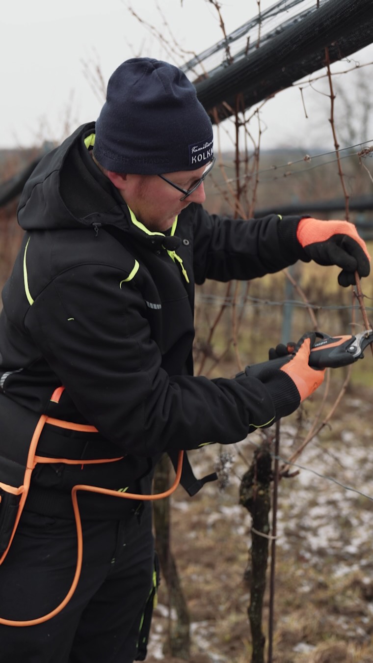 Nicht nur das Jahr 2026 hat begonnen – auch das neue Weinjahr ist offiziell gestartet 🍇✨

Mit dem Rebschnitt ✂️ beginnt für uns eine der wichtigsten Phasen im Weingarten 🌿. Dabei werden die Reben gezielt zurückgeschnitten, um Ertrag und Qualität für den kommenden Jahrgang zu steuern. 

Jeder Schnitt entscheidet darüber, wie viel Kraft die Rebe in die Trauben legt – und damit über den Charakter des späteren Weins 🍷.

Wir sind aktuell mitten in dieser arbeitsintensiven Zeit 🚜❄️ und legen damit den Grundstein für den nächsten Jahrgang. Handwerk, Erfahrung und ein Blick nach vorne – genau so beginnt unser Weinjahr.

#Weinjahr2026 #Rebschnitt #kolkmann #Weingartenarbeit #Familienweingut