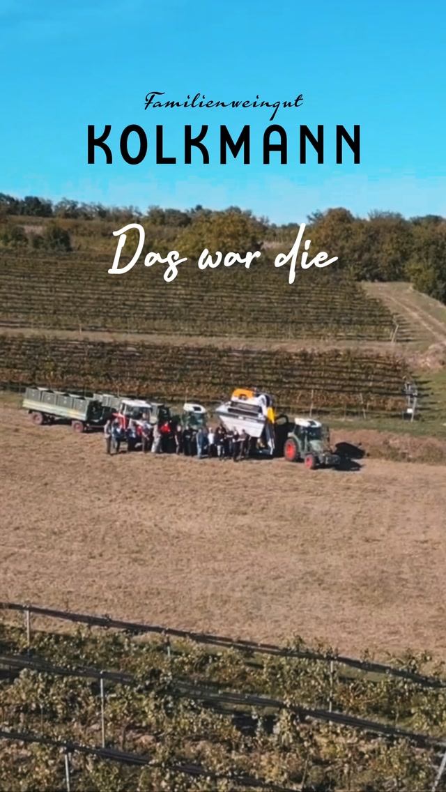 [Leseabschluss 2026 🍇]
Das wars Lese 2026 beendet💪🏻 
#kolkmann #felsamwagram #wein #austriawine @wagramwein @rotweissrose.wine